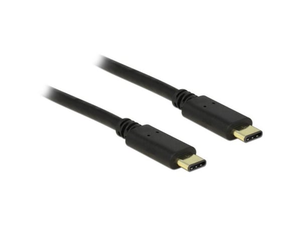 Delock - USB-kabel - USB-C (hann) til USB-C (hann) - USB 2.0 - 3 A - 2 m - svart