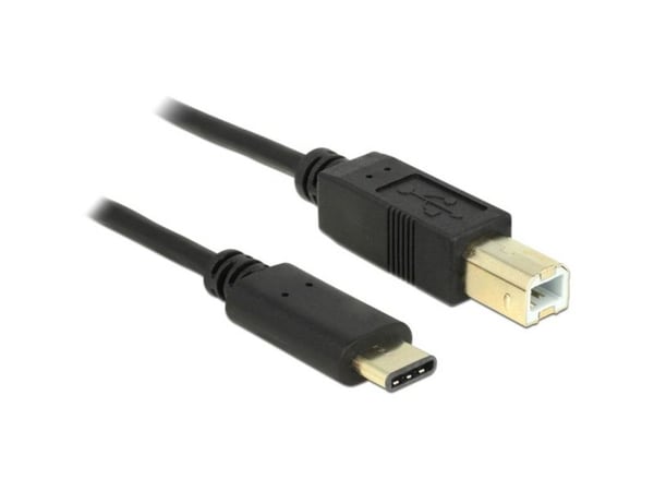 Delock - USB-kabel - USB-C (hann) til USB-type B (hann) - USB 2.0 - 3 A - 2 m - svart
