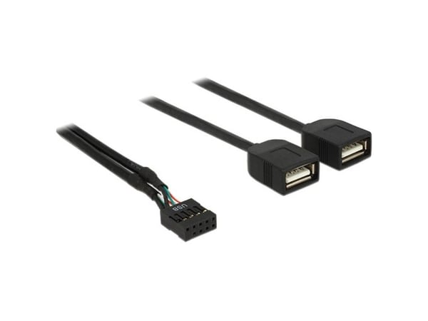 Delock - Intern-til-ekstern USB-adapter - 10-pins USB-kontakt (hunn) til USB (hunn) - 40 cm - svart