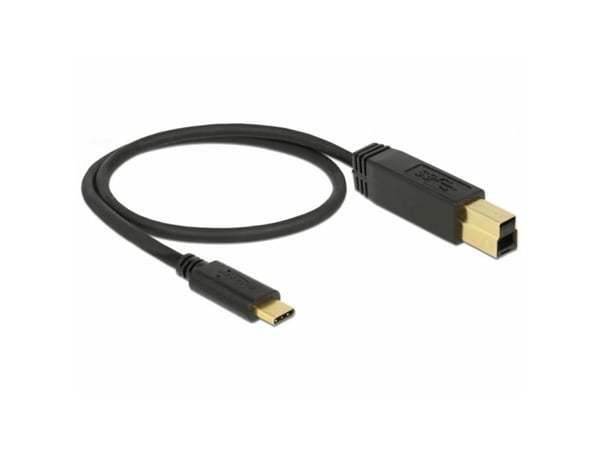 Delock - USB-kabel - USB-C (hann) til USB Type B (hann) - USB 3.1 Gen 2 - 3 A - 50 cm - svart
