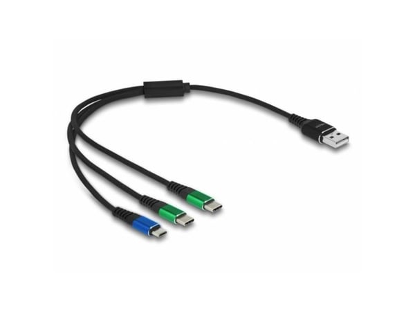Delock - USB-kabel - USB (kun strøm) (hann) til Micro-USB type B (kun strøm), USB-C (kun strøm) (hann) - 5 V - 3 A - 30 cm - svart