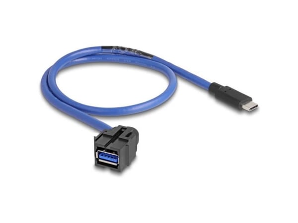 Delock - USB-kabel - 24 pin USB-C (hann) rett til USB-type A (hunn) angled, keystone - USB 3.0 - 50 cm - svart