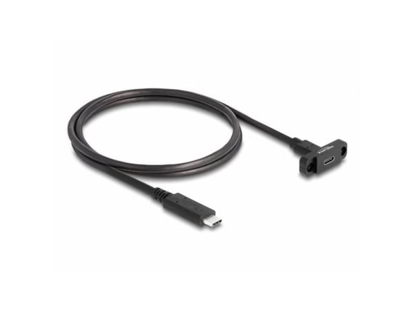 Delock - USB-forlengelseskabel - 24 pin USB-C (hann) til 24 pin USB-C (hunn) panelmonterbar - USB 3.2 Gen 2 - 1 m - svart