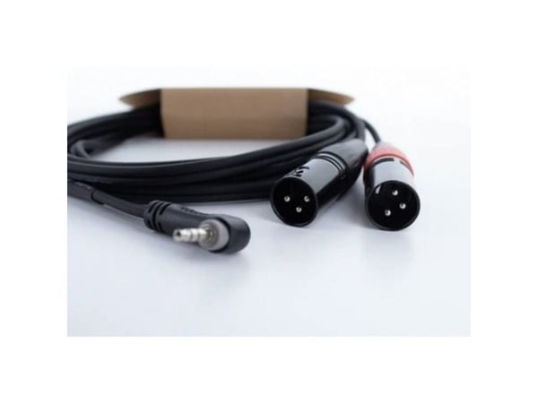 Cordial EY 3 WRMM, 3.5mm, Hankjønn, 2 x XLR (3-pin), Hunkjønn, 3 m, Svart