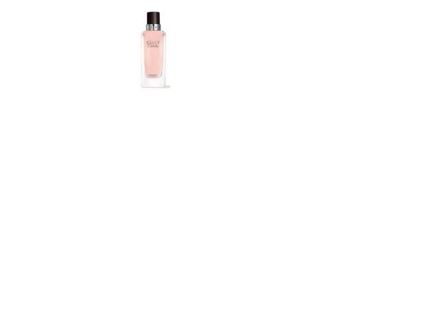 Hermes Kelly Caléche Edt 100ml kvinner