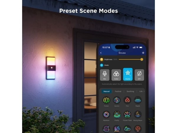Govee Smart Outdoor Wall light