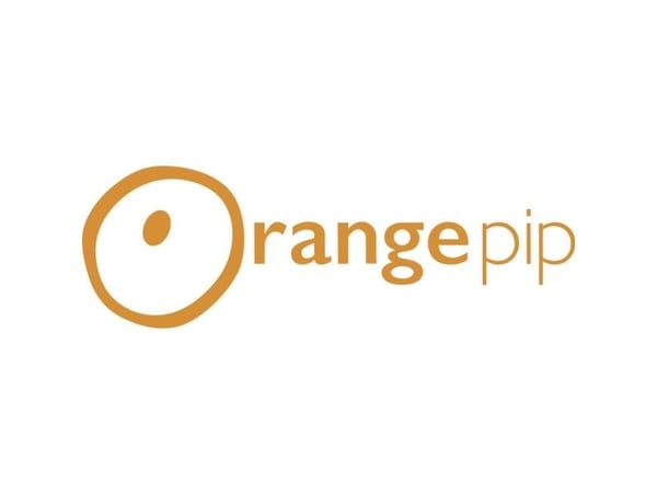 Orangepip Arduino Board Segments328 Class AVR® ATmega ATMega328