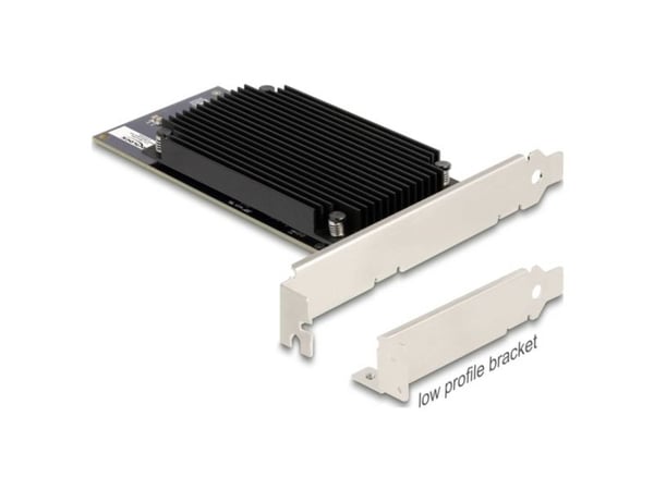 Delock - Applikasjonsakselerator - PCIe 3.0 x8 - plugginnkort