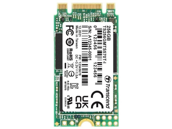 Transcend TS256GMTS570TI-VS1