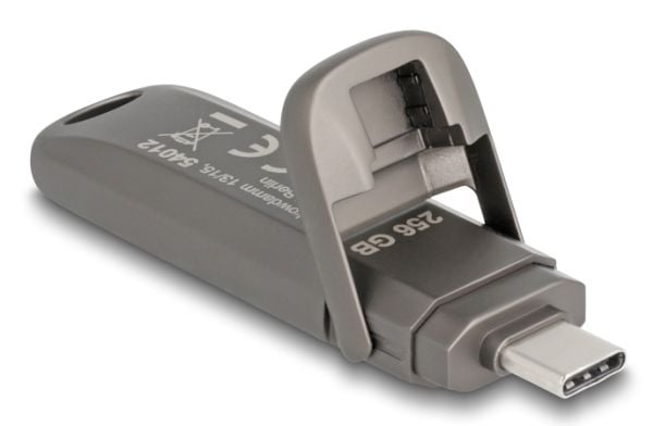 Delock - USB flash-enhet - 256 GB - USB-C