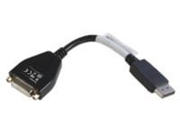 Lenovo - DVI-adapter - enkeltlenke - DisplayPort (hann) til DVI-D (hunn) - 20 cm
