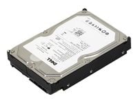 Dell - Harddisk - 750 GB - intern - 3.5" - SATA 3Gb/s - 7200 rpm - oppusset - for PowerEdge R805, R905, T605