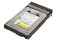 HPE - Harddisk - 250 GB - hot-swap - 3.5" - SATA 3Gb/s - 7200 rpm