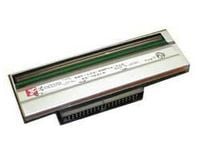 Intermec - 203 dpi - skriverhode - for PXie Series PX6ie; EasyCoder PX6i, PX6i RFID, PX6IA