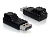 Delock - DisplayPort-adapter - DisplayPort (hann) til Mini DisplayPort (hunn) - svart