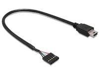 Delock USB 2.0 Pin Header - Intern-til-ekstern USB-adapter - mini-USB type B (hann) til 5-pins USB 2.0-hode (hunn) - 30 cm - svart