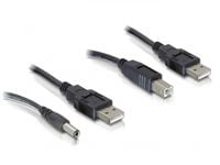 Delock - Strømkabelpakke - USB (han) til USB Type B, DC-stik 2,1 mm (han) - 30 cm