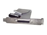 StarTech 16in DB25 Parallel Female to IDC 25 Pin Header Slot Plate (PLATE25F16) - Parallellpanel - DB-25 (hunn) til 26 pin IDC (hunn) - 40.64 cm - grå