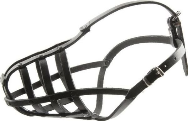 Dino munnkurv for hund i skinn naglet 8 Spaniel liten Dino munnkurv for hund i skinn naglet 8 Spaniel liten