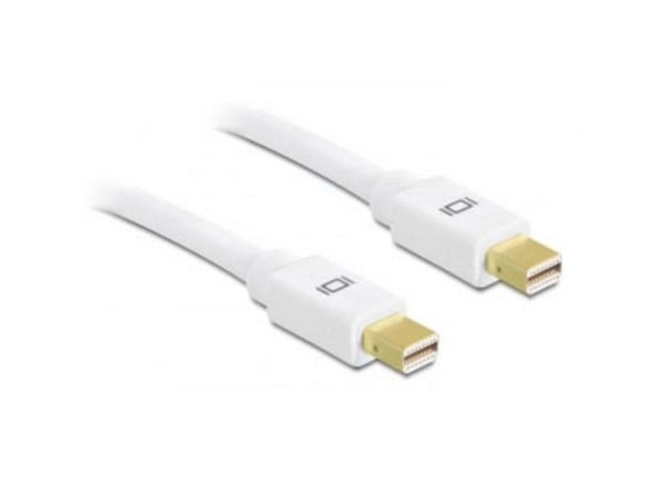 Delock - DisplayPort-kabel - Mini DisplayPort (hann) til Mini DisplayPort (hann) - 2 m - hvit