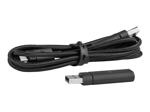 CORSAIR Gaming HS80 RGB - Hodesett - full størrelse - kablet - USB - karbon