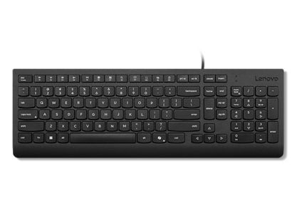 Lenovo Essential - Tastatur - USB - QWERTY - Dansk - svart - brun boks