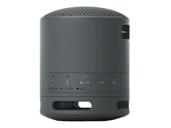 Sony SRS-XB100 - Högtalare - för bärbar användning - trådlös - Bluetooth - Appkontrollerad - svart