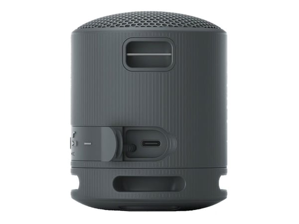 Sony SRS-XB100 - Högtalare - för bärbar användning - trådlös - Bluetooth - Appkontrollerad - svart