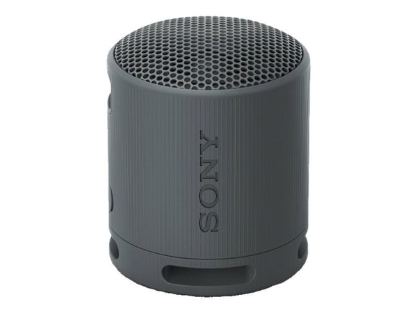 Sony SRS-XB100 - Högtalare - för bärbar användning - trådlös - Bluetooth - Appkontrollerad - svart