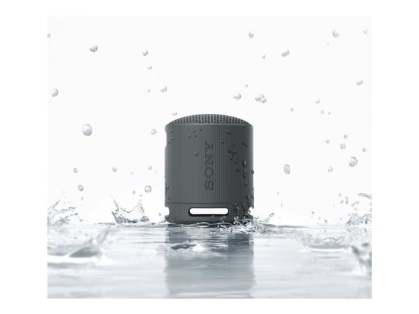 Sony SRS-XB100 - Högtalare - för bärbar användning - trådlös - Bluetooth - Appkontrollerad - svart