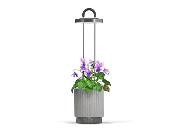 Click And Grow Click &amp; Grow HydroVase -huonekasvien hoitosarja, jossa on LED-valo, itsekasteleva ja automaattinen ajastin - harmaa