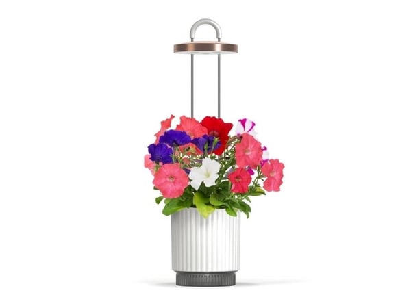 Click And Grow Click &amp; Grow HydroVase - kasvattaa tuoreita kasveja sisätiloissa ympäri vuoden LED-valaistuksen ja itsekastelulaitteen avulla - ...