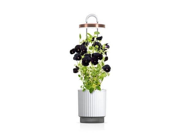 Click And Grow Click &amp; Grow HydroVase - kasvattaa tuoreita kasveja sisätiloissa ympäri vuoden LED-valaistuksen ja itsekastelulaitteen avulla - ...