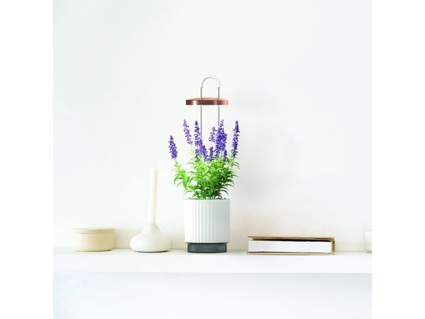 Click And Grow Click &amp; Grow HydroVase - kasvattaa tuoreita kasveja sisätiloissa ympäri vuoden LED-valaistuksen ja itsekastelulaitteen avulla - ...