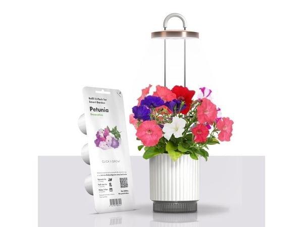Click And Grow Click &amp; Grow HydroVase - kasvattaa tuoreita kasveja sisätiloissa ympäri vuoden LED-valaistuksen ja itsekastelulaitteen avulla - ...