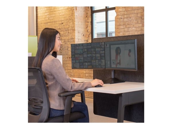Ergotron DS100 - Stativ - horisontal - for 2 LCD-skjermer - aluminium, stål - svart - skjermstørrelse: inntil 24" - skrivebord