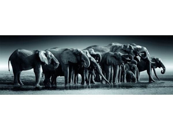 Clementoni Puslespil Panorama HQC Herd of Giants, 1000 brikker