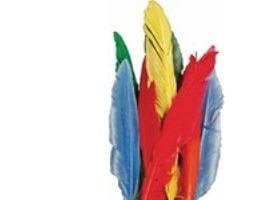 Fjer, 12-15 cm, i ass. farver, pakke a 350 stk