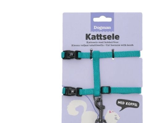 DOGMAN katteselesett Findus turkis