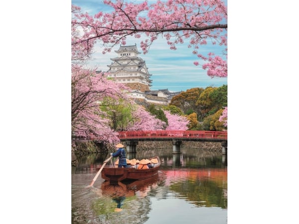 Clementoni 1000 pcs. CB Himeji Castle In Spring, 14 År