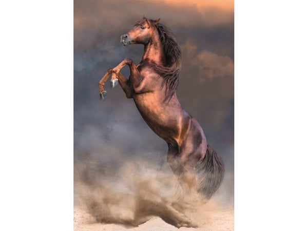 Clementoni 500 pcs CB HQC Wild Red Stallion, 14 År