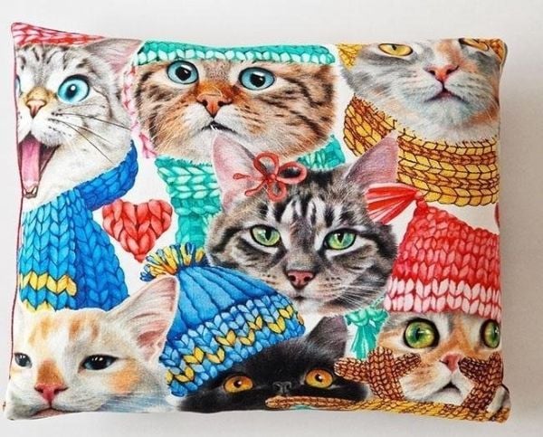 Pute Katter EDUKAMP