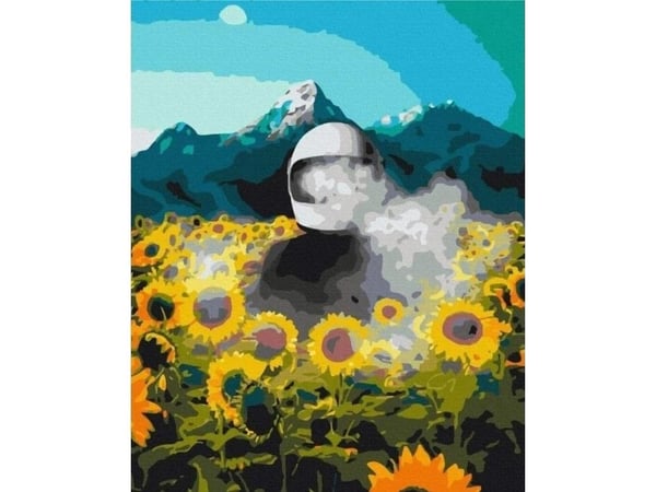 Twoje Hobby male etter tall - Kosmisk jord 40x50 cm EDUKAMP