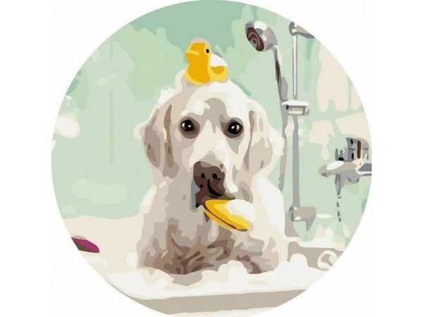 Maling etter tall rund – Hund på badet 40