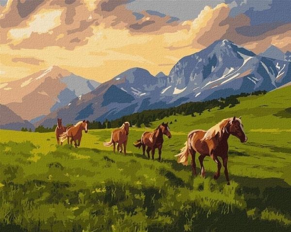 Mal etter tall - Free spirit 40x50 cm