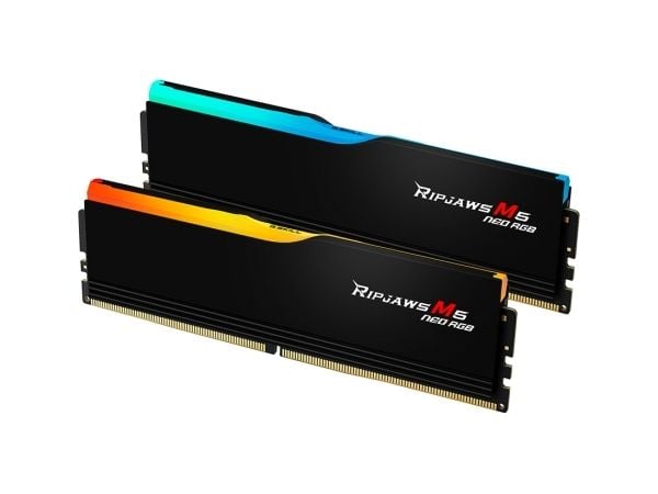 G.Skill Ripjaws M5 Neo RGB - DDR5 - sats - 64 GB: 2 x 32 GB - DIMM 288-pin - 6000 MT/s / PC5-48000 - CL28 - 1.4 V - ej buffrad - icke ECC - mattsvart