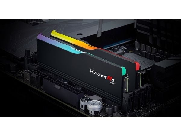 G.Skill Ripjaws M5 RGB F5-6000J2836G32GX2-RM5RK, 64 GB, 2 x 32 GB, DDR5, 288-pin DIMM