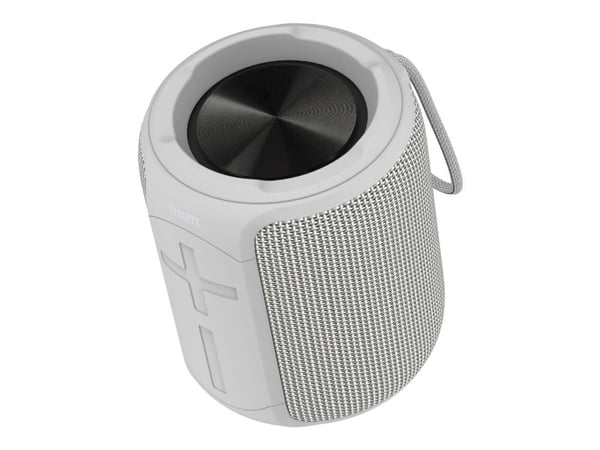 STREETZ CM766 - Høyttaler - for bærbar bruk - trådløs - Bluetooth - 10 watt - grå