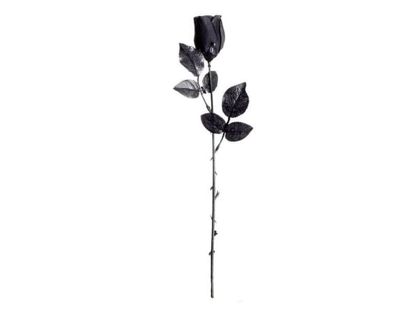 Sort rose Sort rose