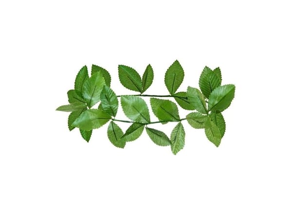 Grön lagerkrans